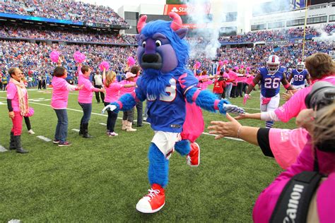A Visual Tribute to the Fans' Love for the New York Giants Mascot: Picture Showcase